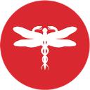 Dragonfly CBD logo